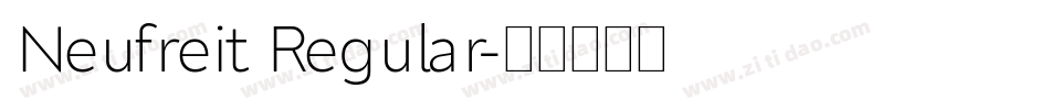 Neufreit Regular字体转换
